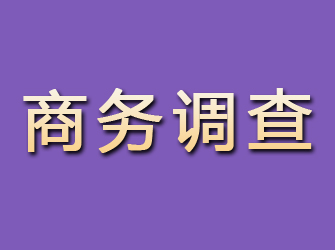 阜宁商务调查